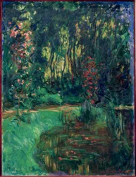 Een hoek van de vijver van Giverny