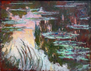 Waterlelies, ondergaande zon