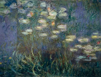 Waterlelies (detail)