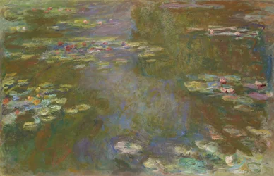 Waterlelievijver