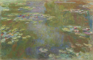 Waterlelievijver