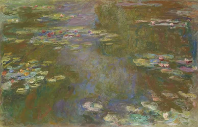 Waterlelievijver