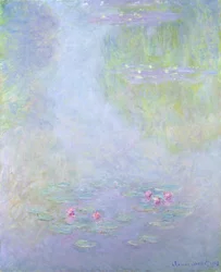 Waterlelies