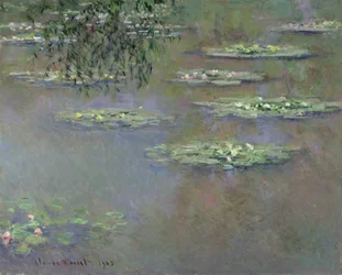 Waterlelies, 1903