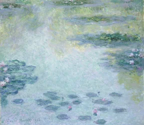 Waterlelies