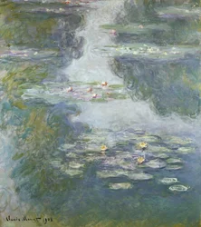 Waterlelies, Nympheas