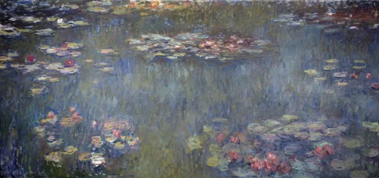 Vijver met waterlelies, groene reflectie