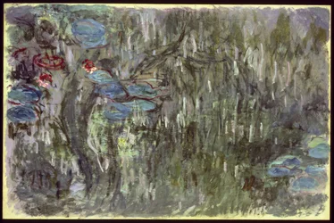 Waterlelies met Reflecties van Wilgen