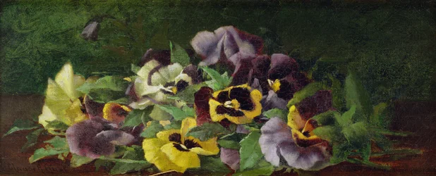 Viooltjes (olieverf op doek)