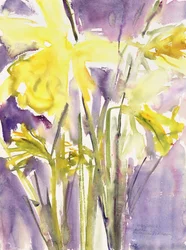 Narcissen, 2004