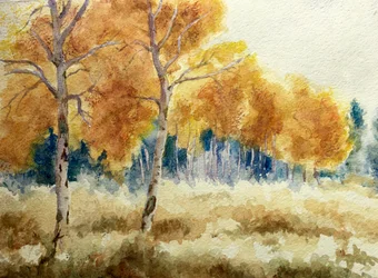 Herfst-aspens in de Tetons, 2011 (aquarel)