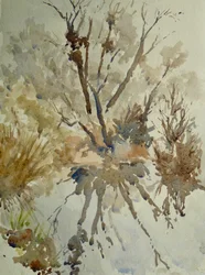 Schapenbout, Eton, 2010 (aquarel)