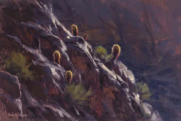 De Gouden Cactussenhelling