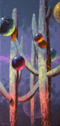 Saguaro: Hemelse Nacht