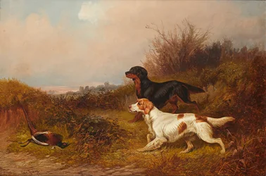 Retrievers aan het werk