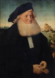 Portret van een bebaarde heer