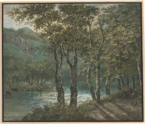 Zonlicht dat door bomen langs de rivier Sihl filtert