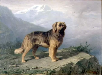 Een Mastiff in een Alpenlandschap