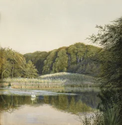 Zwanen op Paddington Pond, 1860s