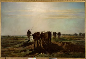 De ossen gaan ploegen, ochtend effect