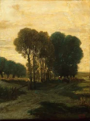 Een groep bomen