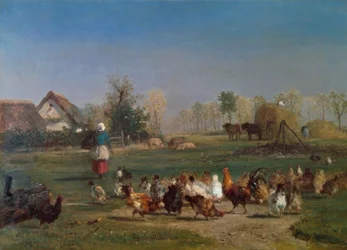 Het voeren van de kippen