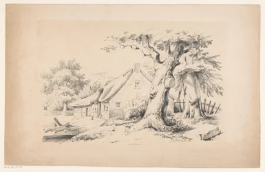 Boerderij en twee bomen (Het Landschap)
