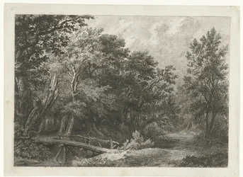 Bosgezicht met houten brug