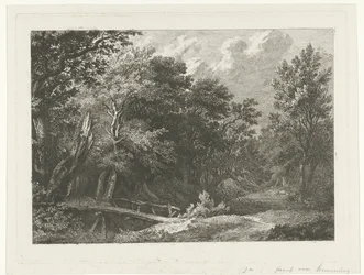 Bosgezicht met houten brug