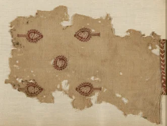 Fragment (tuniek)
