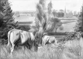 Koeien die grazen op het platteland