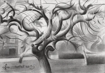 Expressieve winterboom