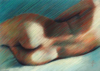 Sensuele lichaamsvormen