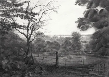 Landschap van Serene Valley