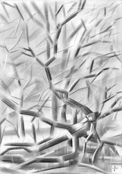 Scherpe winterbomen