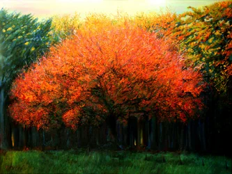 Kleurrijke herfstboom