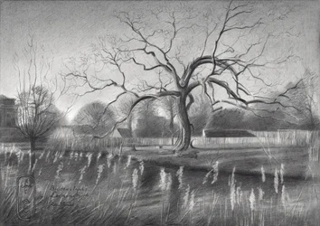 Weerspiegelingen in winterbomen