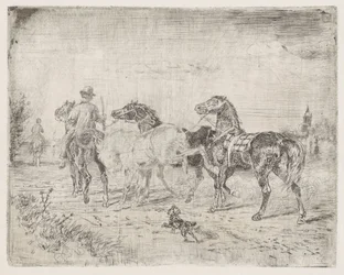 Ruiters met paarden