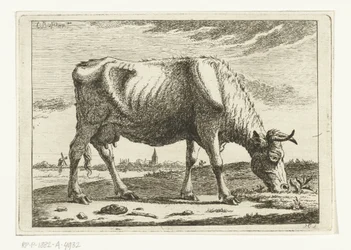 Landschap met grazende koe