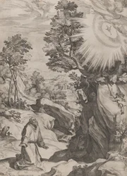 St. Franciscus Berouwvol in de Wildernis
