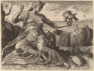 Tactus