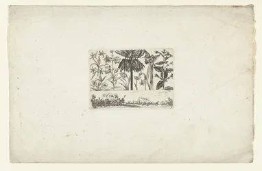 Rij bloemen boven landschap