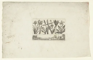 Rij bloemen boven landschap