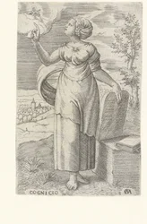 Wijsheid