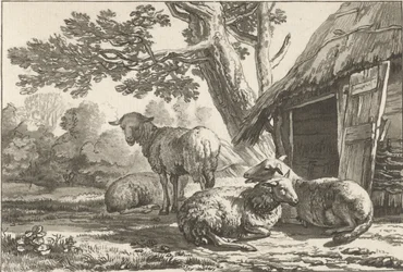 Schaapskooi