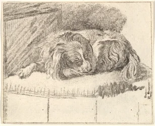 Slapende Hond, 1777