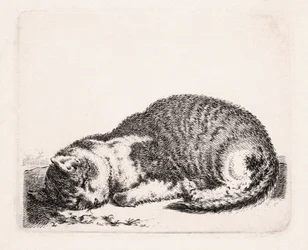 Slapende Kat, ca. 1607-81
