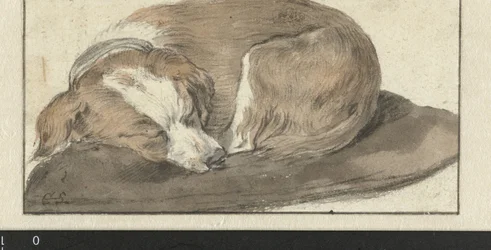 Slapende hond