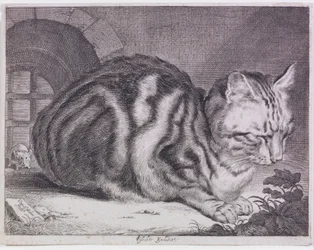 De Grote Kat