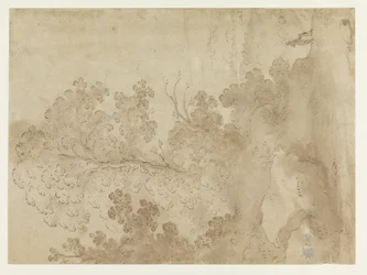 Heuvellandschap met bomen